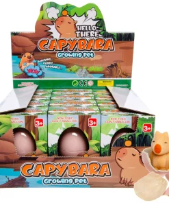 Alternative view of boite oeuf grossissant capybara X 12