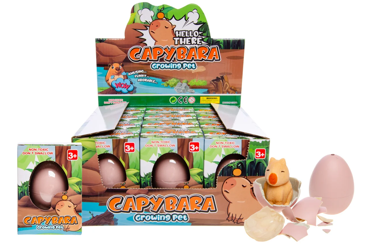 boite oeuf grossissant capybara X 12 – Image 2
