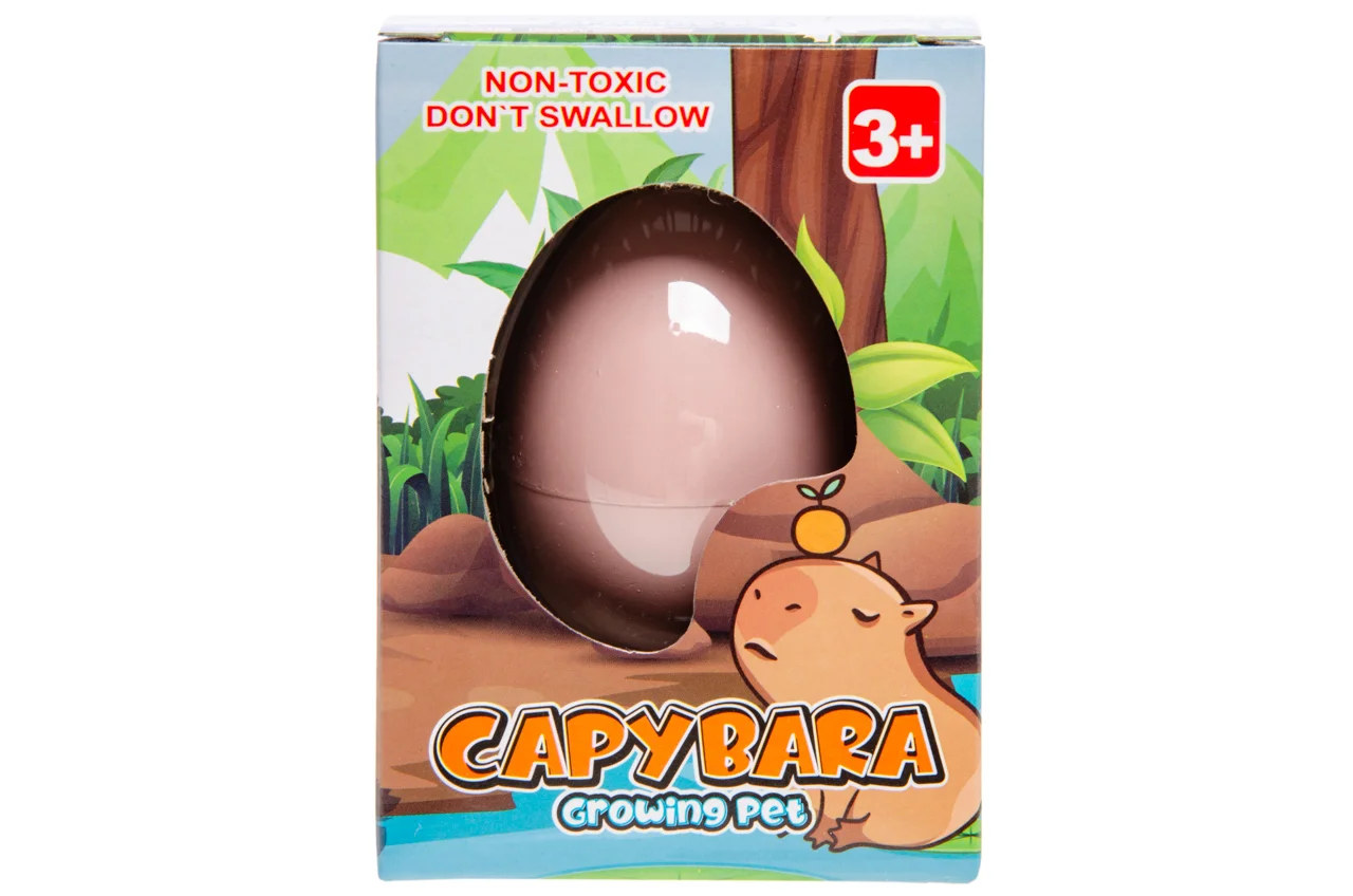 boite oeuf grossissant capybara X 12 – Image 3