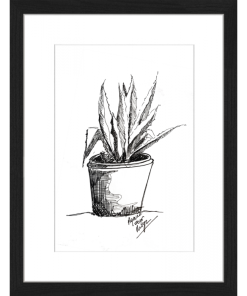 Alternative view of Little agave 30×40