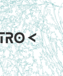 Alternative view of Alien Fair (synthé amusant)